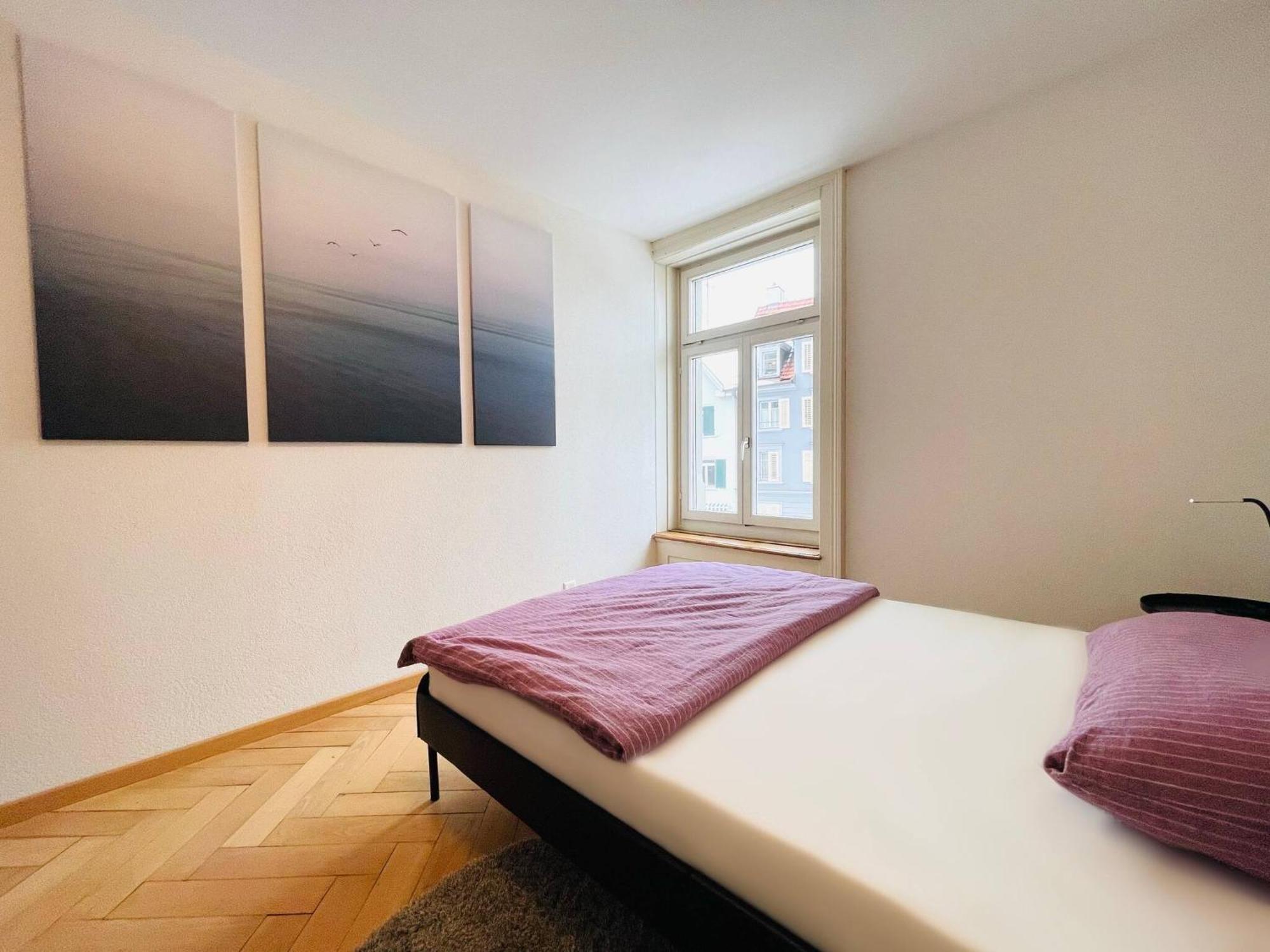 Beautiful, Bright, Large Apartment With Balcony Smarttv 세인트갈렌 외부 사진